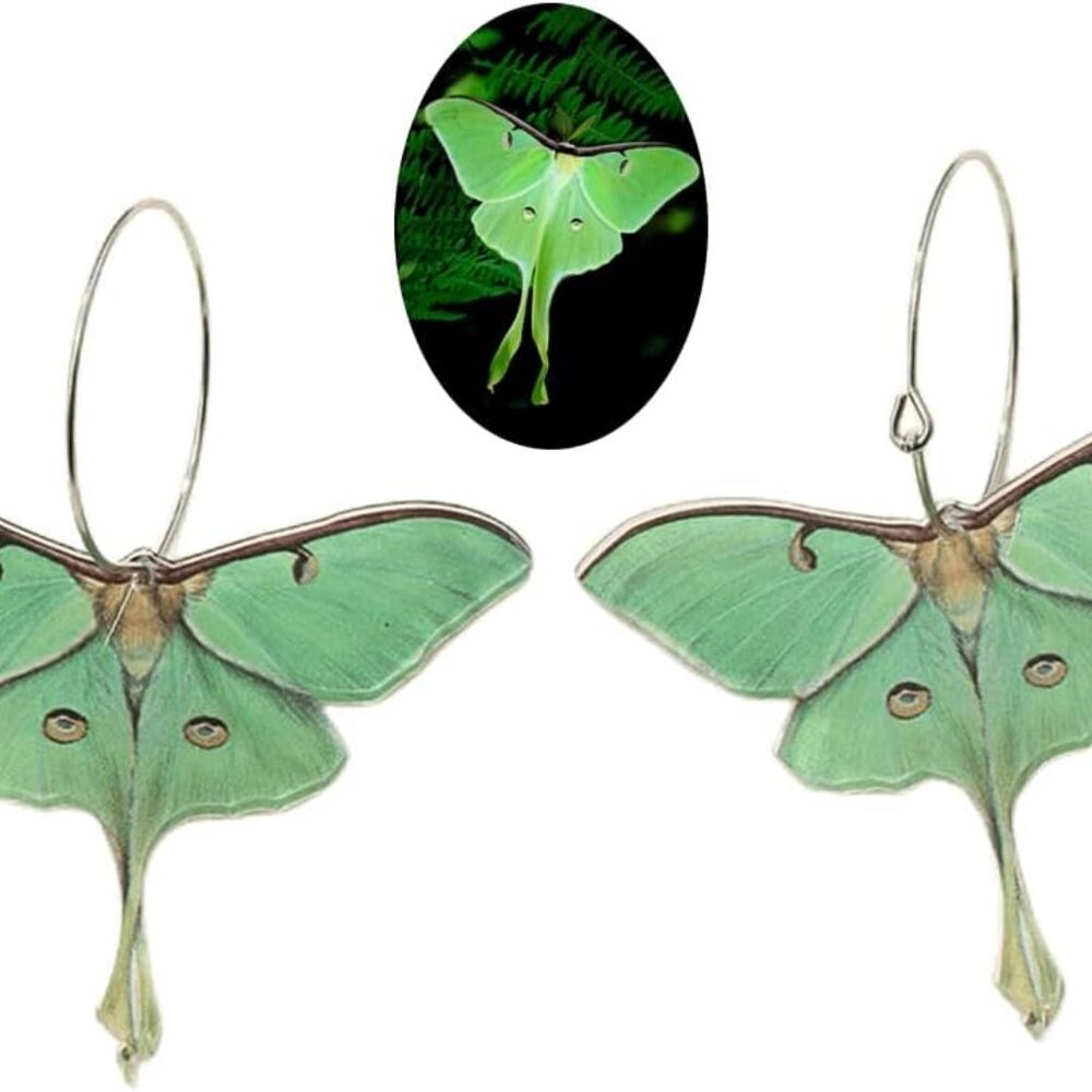 Moth Butterfly Earrings.Punk Insect Drop Earrings Color Acrylic Moth Wing Earrin